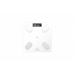 Run Rabbit RR-5B white